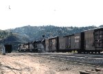 Tehachapi Loop - Merch Train